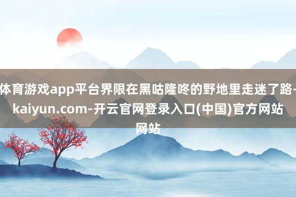 体育游戏app平台界限在黑咕隆咚的野地里走迷了路-kaiyun.com-开云官网登录入口(中国)官方网站