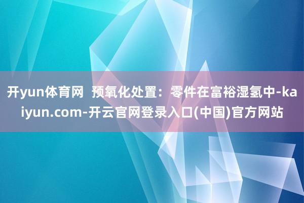 开yun体育网 预氧化处置:零件在富裕湿氢中-kaiyun.com-开云官网登录入口(中国)官方网站