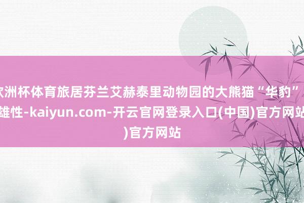 欧洲杯体育旅居芬兰艾赫泰里动物园的大熊猫“华豹”（雄性-kaiyun.com-开云官网登录入口(中国)官方网站