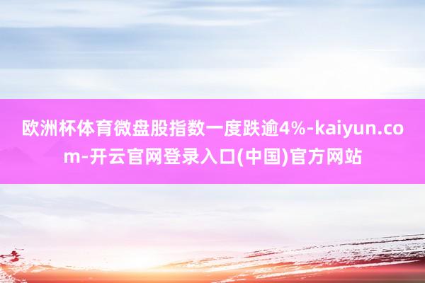 欧洲杯体育微盘股指数一度跌逾4%-kaiyun.com-开云官网登录入口(中国)官方网站