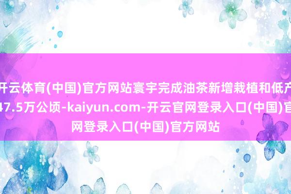 开云体育(中国)官方网站寰宇完成油茶新增栽植和低产林转换47.5万公顷-kaiyun.com-开云官网登录入口(中国)官方网站