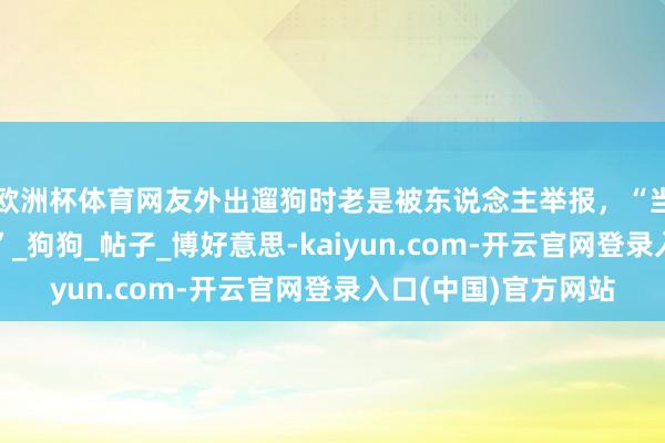 欧洲杯体育网友外出遛狗时老是被东说念主举报，“当今养熊不犯科吗？”_狗狗_帖子_博好意思-kaiyun.com-开云官网登录入口(中国)官方网站