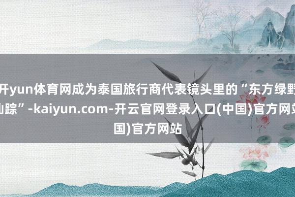 开yun体育网成为泰国旅行商代表镜头里的“东方绿野仙踪”-kaiyun.com-开云官网登录入口(中国)官方网站