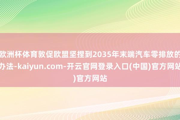 欧洲杯体育敦促欧盟坚捏到2035年末端汽车零排放的办法-kaiyun.com-开云官网登录入口(中国)官方网站