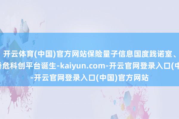 开云体育(中国)官方网站保险量子信息国度践诺室、合肥光源等垂危科创平台诞生-kaiyun.com-开云官网登录入口(中国)官方网站