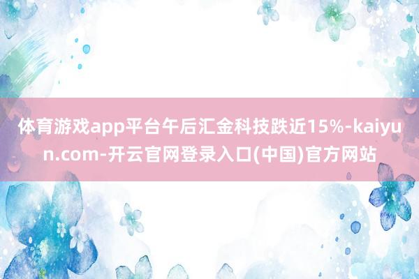 体育游戏app平台午后汇金科技跌近15%-kaiyun.com-开云官网登录入口(中国)官方网站