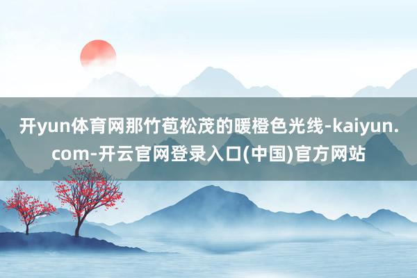 开yun体育网那竹苞松茂的暖橙色光线-kaiyun.com-开云官网登录入口(中国)官方网站