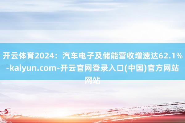 开云体育2024：汽车电子及储能营收增速达62.1%-kaiyun.com-开云官网登录入口(中国)官方网站