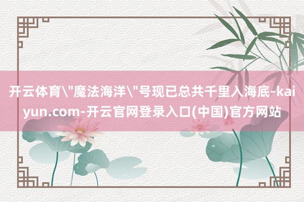 开云体育
